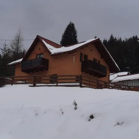 Casa Aurici Holiday home Vatra Dornei