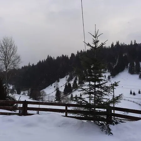 Casa Aurici Holiday home *