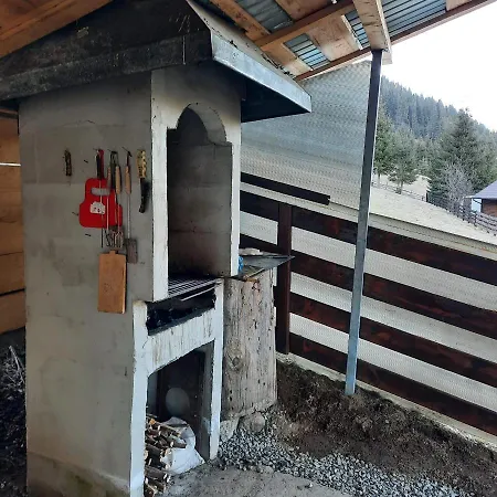 Casa Aurici Holiday home Vatra Dornei