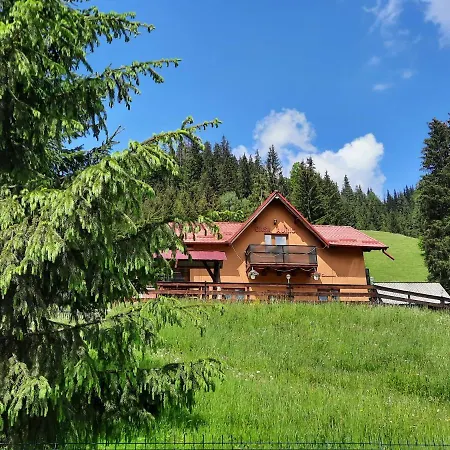 Casa Aurici Holiday home Vatra Dornei