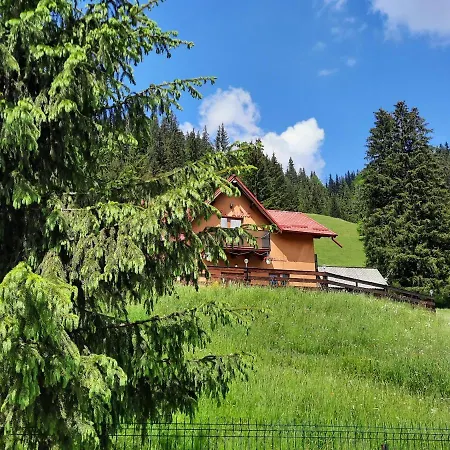 Casa Aurici Holiday home *