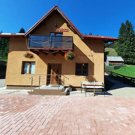 Casa Aurici Holiday home Vatra Dornei